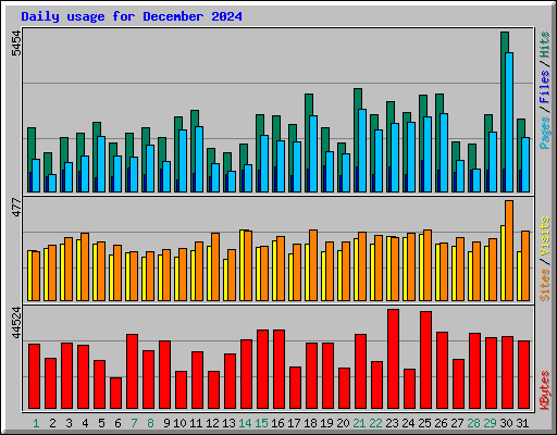Daily usage for December 2024