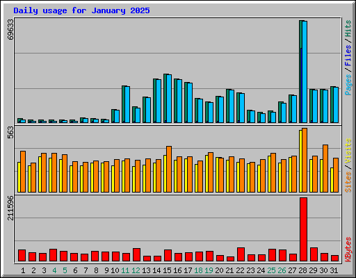 Daily usage for January 2025