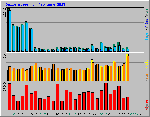 Daily usage for February 2025