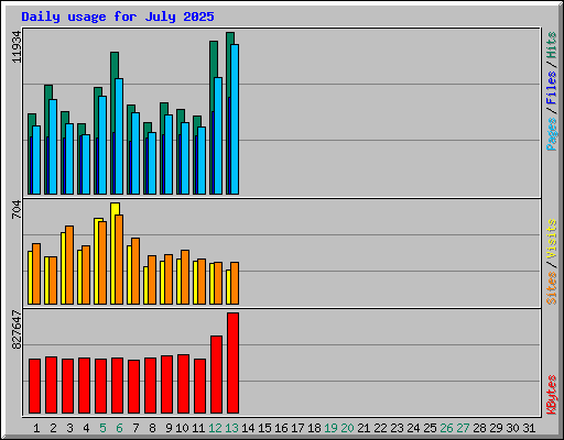 Daily usage for July 2025