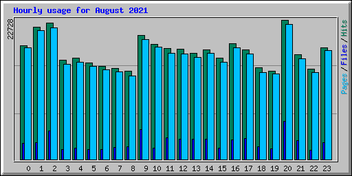 Hourly usage for August 2021