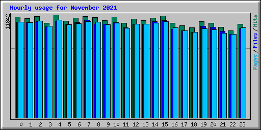 Hourly usage for November 2021