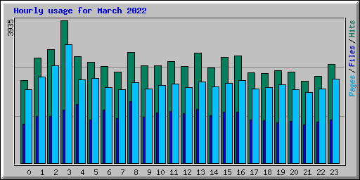 Hourly usage for March 2022