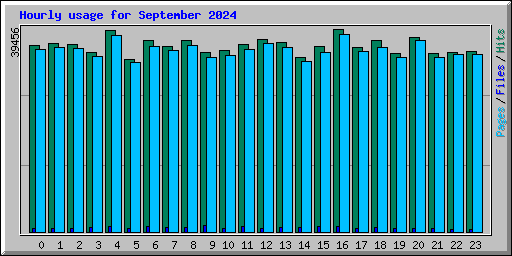 Hourly usage for September 2024
