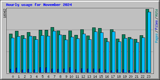 Hourly usage for November 2024