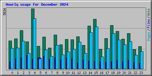 Hourly usage for December 2024