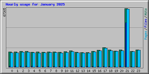 Hourly usage for January 2025