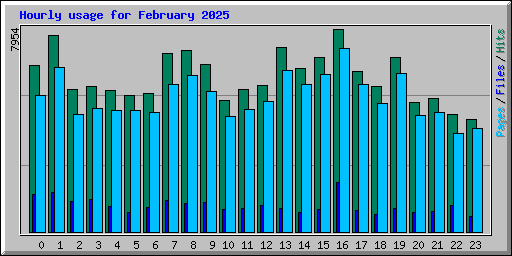 Hourly usage for February 2025
