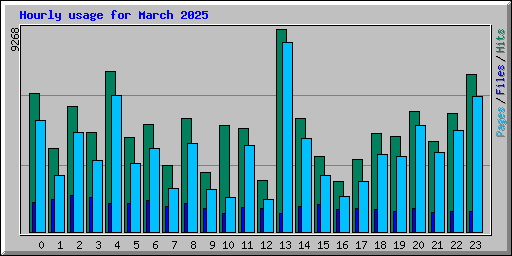 Hourly usage for March 2025