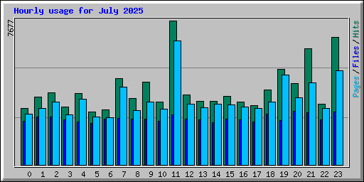 Hourly usage for July 2025