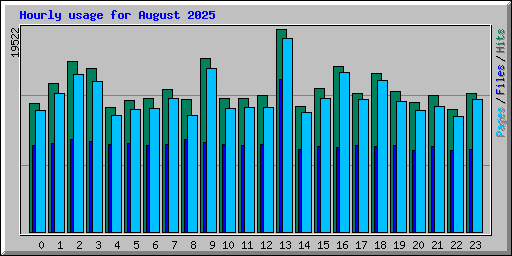 Hourly usage for August 2025