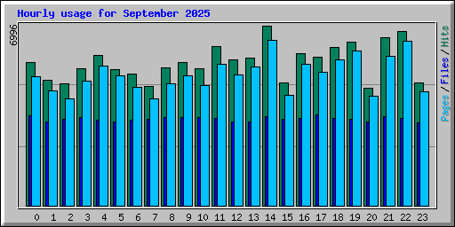 Hourly usage for September 2025