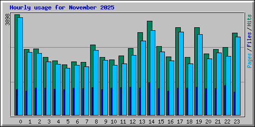 Hourly usage for November 2025